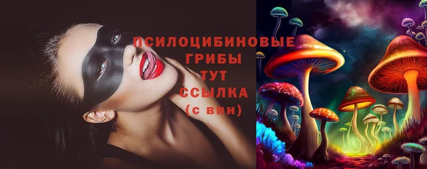 шишки Осташков