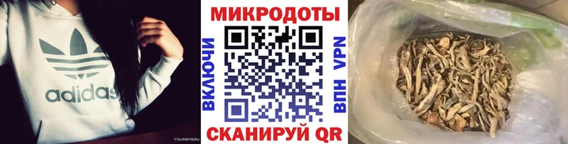 Псилоцибиновые грибы Psilocybine cubensis  OMG ссылки  Рассказово 